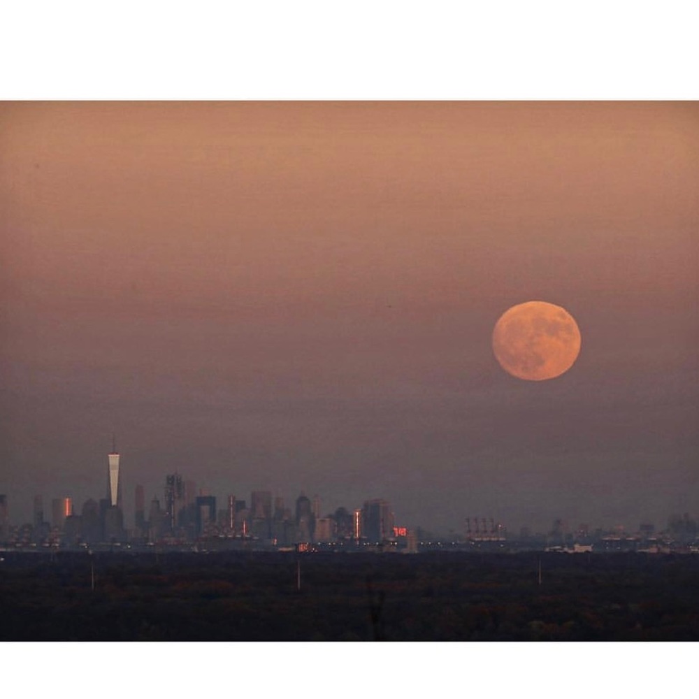 Meet your Posher, Selene